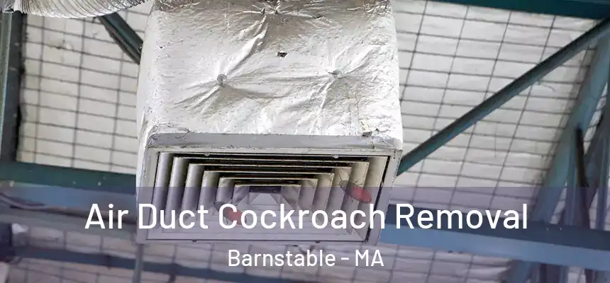  Air Duct Cockroach Removal Barnstable - MA