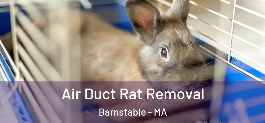 Air Duct Rat Removal Barnstable - MA