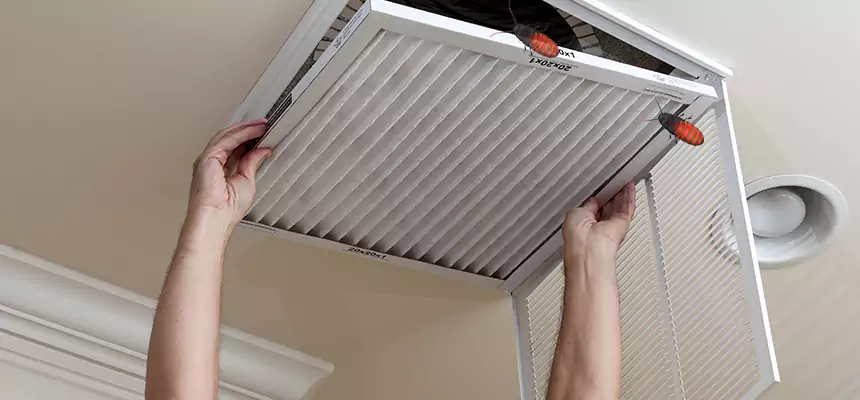 Preventive Cockroach-Proofing for Ducts in Barnstable