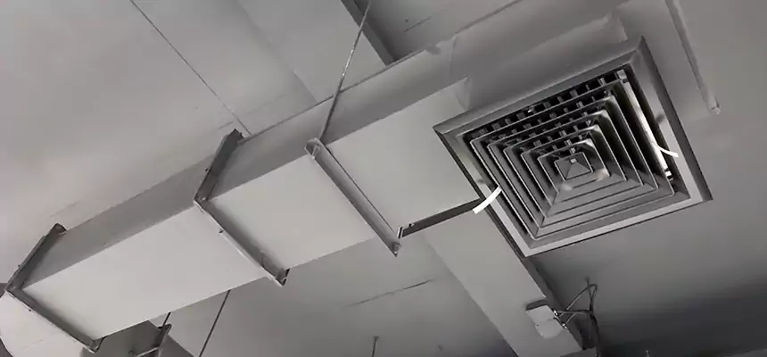 Our Pest Removal From Ducts Services in Barnstable, MA