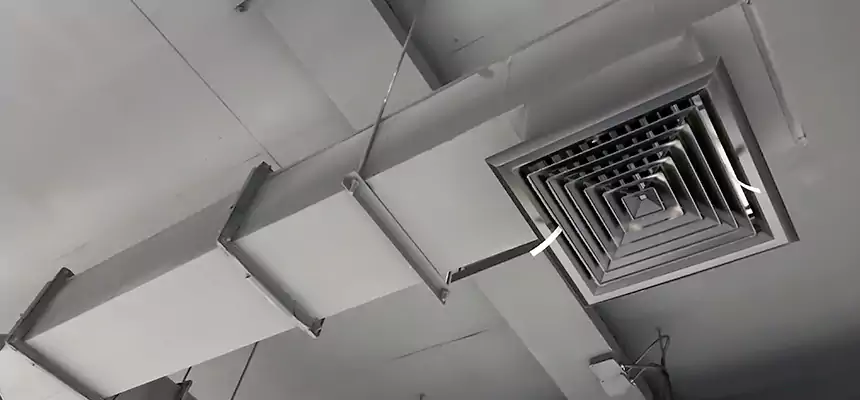 Our Rodent Droppings In Vents Services in Barnstable, MA