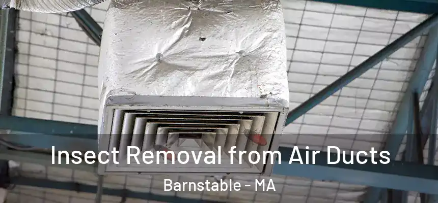 Insect Removal from Air Ducts Barnstable - MA