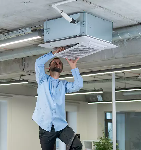 Advanced Rodent Droppings In Vents in Barnstable, MA