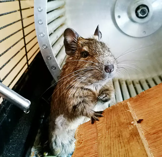 Why Homeowners & Businesses Trust Us Barnstable, MA