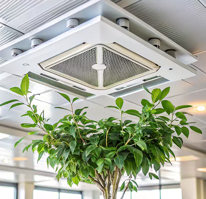 Why Homeowners & Businesses Trust Us in Barnstable, MA